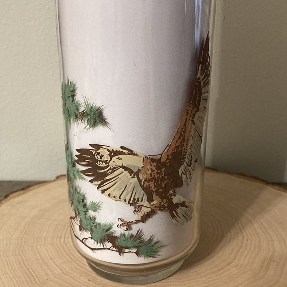 VINTAGE BURGER CHEF "THE BALD EAGLE" 1978 ENDANGERED SPECIES COLLECTORS Glass - Picture 7 of 13